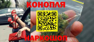 шишки Будённовск
