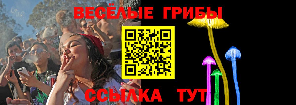 Псилоцибиновые грибы GOLDEN TEACHER  Вход с VPN  Шелехов  цены   Галлюциногенные грибы MAGIC MUSHROOMS 